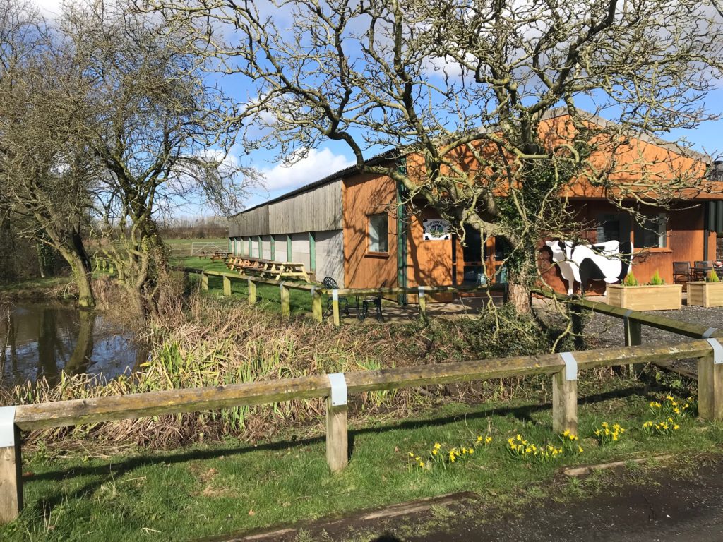 Outside Daresbury Dairy ice cream shop